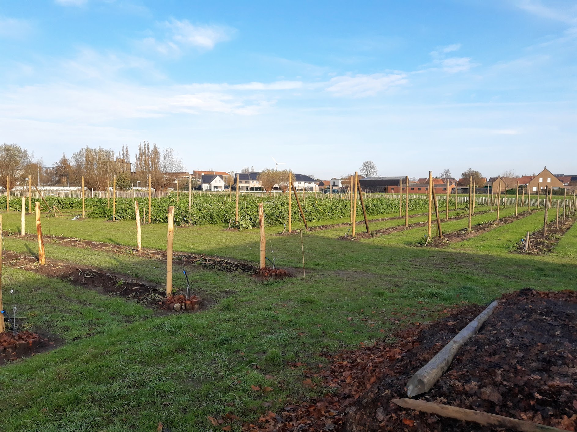 overzicht pluktuin nov 2020