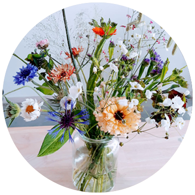 bloemen pluktuin Fruitbos